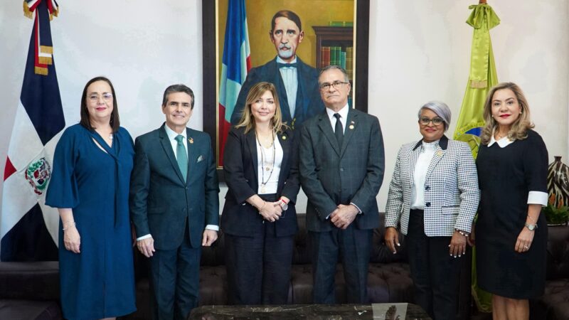 TSE recibe misiones de observadores electorales internacionales 