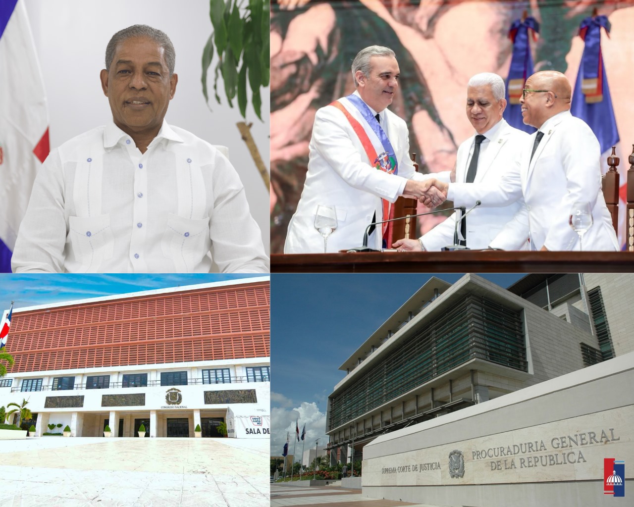 Federico Reynoso insta a senadores y diputados del PRM a respaldar la propuesta de reforma constitucional