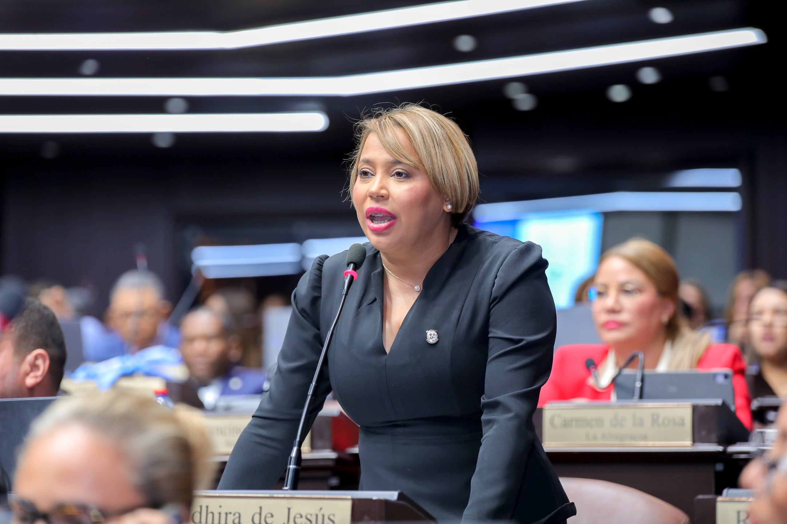 Diputada Indhira de Jesús solicita la construcción de un instituto ITSC en SDO