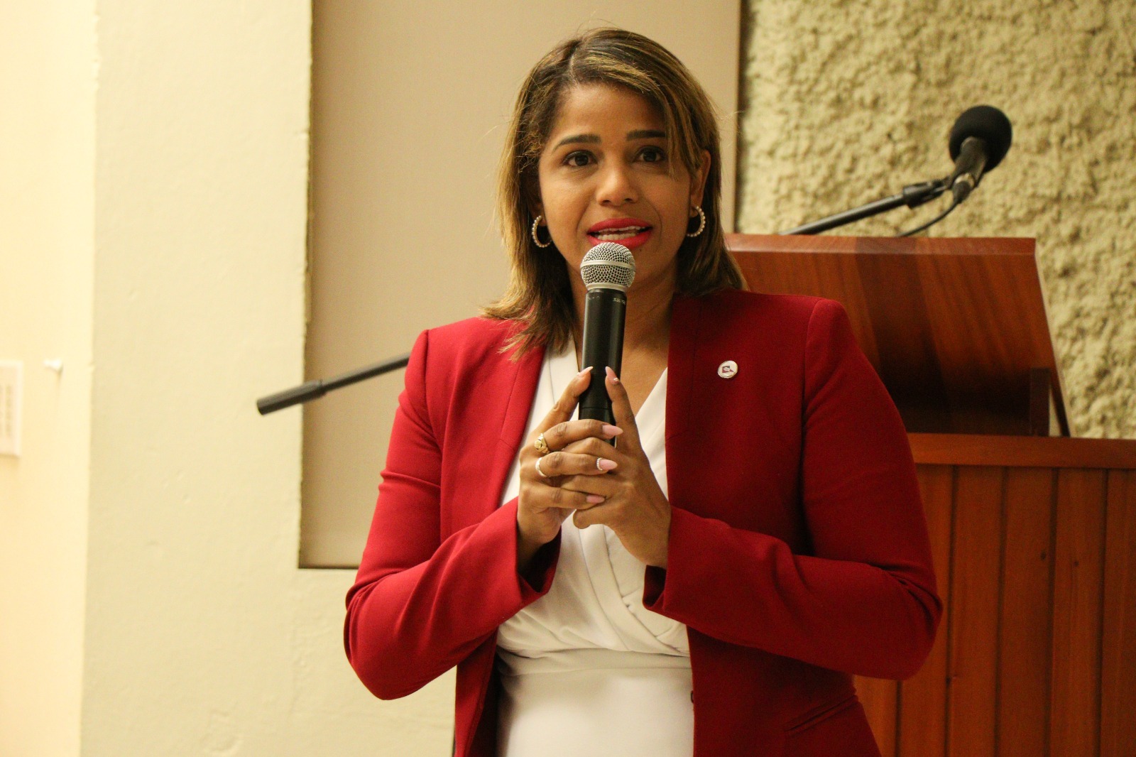 Ruta Nacionalízate 2024 llega a Santo Domingo, Conferencia Ley de Memoria Democrática busca impulsar la nacionalidad española en el país
