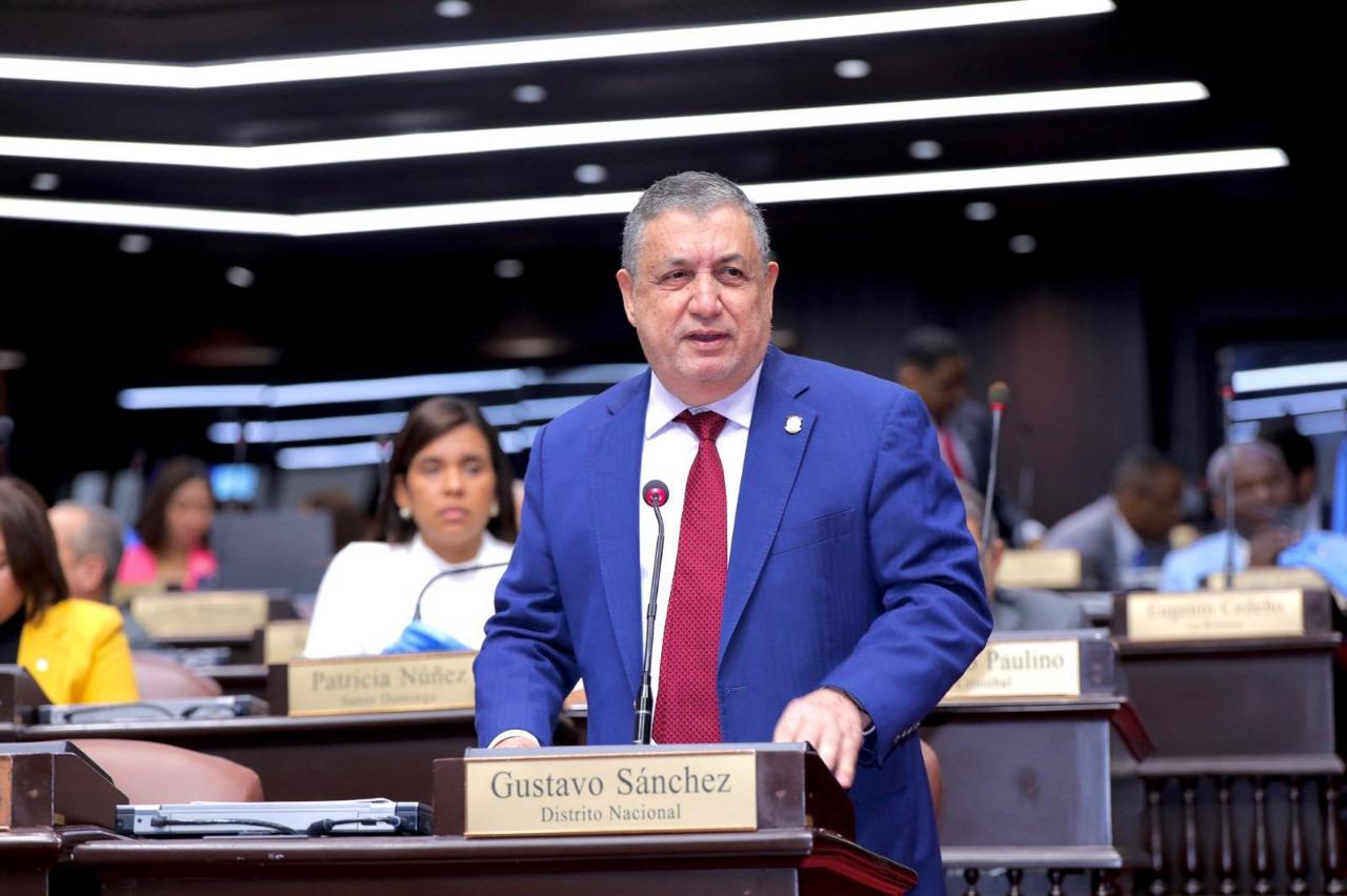 El PLD exige presupuesto del 2025 priorice a los dominicanos a los dominicanos y garantice un futuro sostenible 