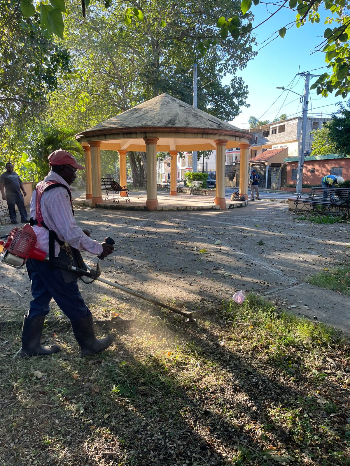 Medio Ambiente Ayuntamiento interviene Plazas, parques y avenidas de SC
