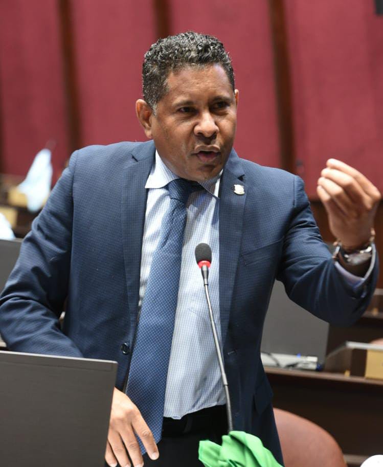 El diputado Ignacio Aracena, informa agilización de la construcción de los techados en Las Caobas y el Hoyo del Libertador de Herrera
