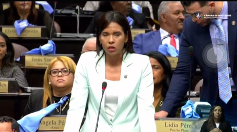 Diputada Patricia Nuñez, expone sobre la inclusión en la Cámara de Diputados