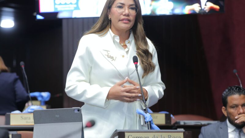 Diputada Carmen de la Rosa propone crear Colegio de Profesionales Farmacéuticos