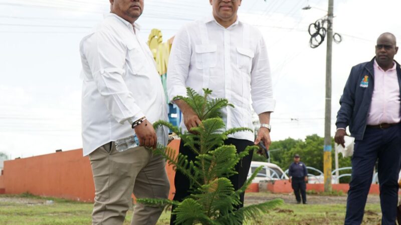 Alcaldía de SDE inicia jornada de siembra de 40 mil árboles en todo el municipio