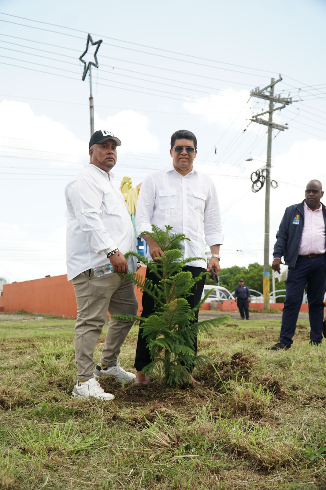 Alcaldía de SDE inicia jornada de siembra de 40 mil árboles en todo el municipio
