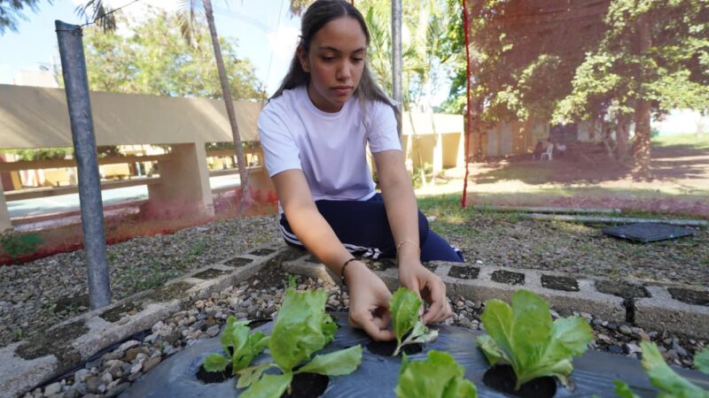Huertos escolares del INABIE promueven conciencia ambiental y alimentaria en estudiantes
