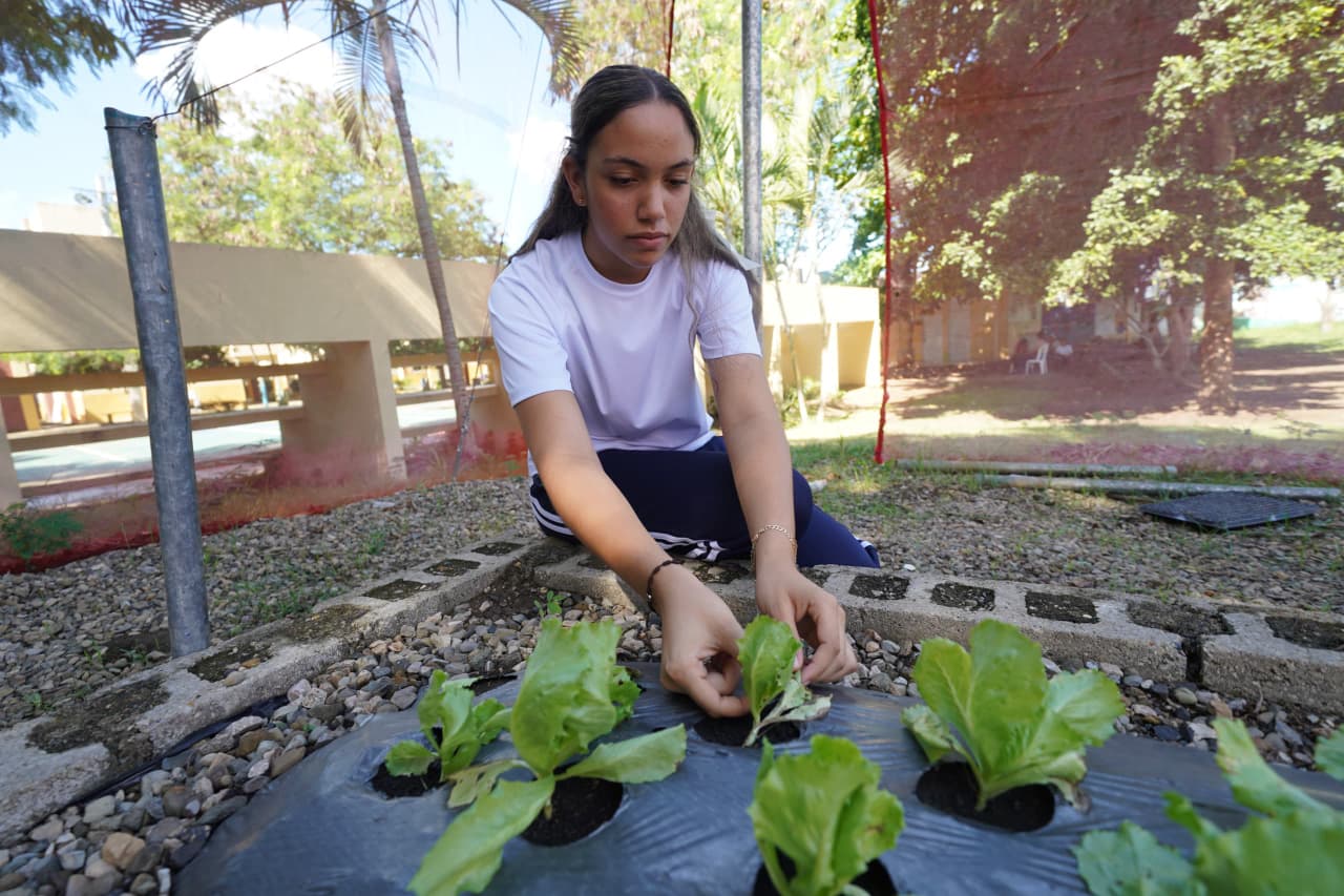 Huertos escolares del INABIE promueven conciencia ambiental y alimentaria en estudiantes