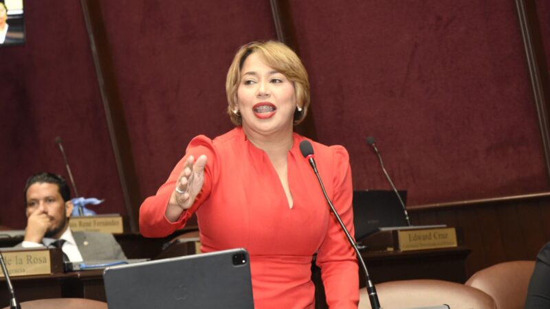 Diputada Indhira De Jesús somete proyecto de ley para la acumulación de fondos no utilizados en medicamentos