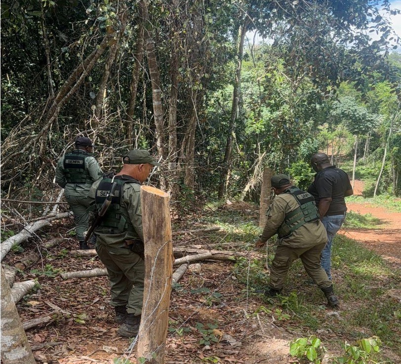 Autoridades destruyen parcelas ilegales en loma de Managua, Bayaguana, Monte Plata