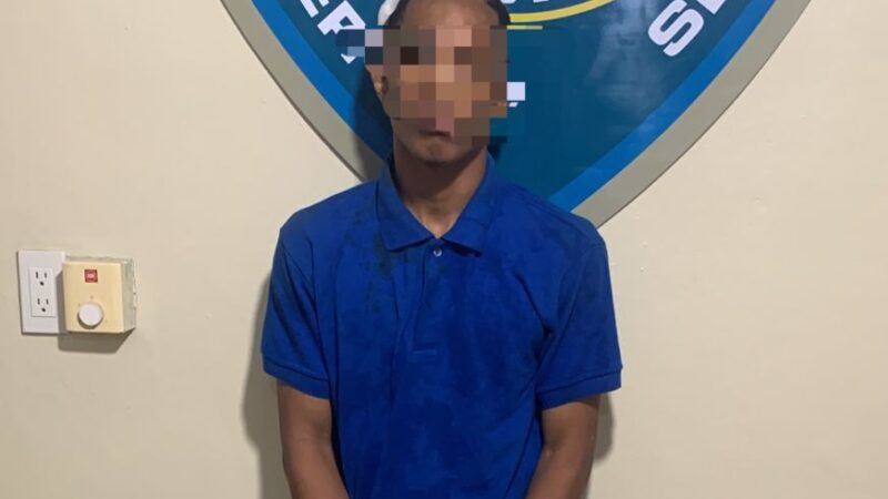 *DICRIM apresa a “Genial”, “Campe” y otros por distintos delitos; ocupa arma ilegal y recupera objetos sustraídos en Villa Mella, SDN*  *Santo Domingo Norte.—* Agentes de investigación adscritos a la Dirección Regional Santo Domingo Norte de la Policía Nacional apresaron en el sector Villa Mella a varios individuos vinculados a múltiples hechos delictivos, entre ellos robos.  Entre los detenidos figura Alfredo Monte de Oca, alias “Genial”, contra quien pesaba la orden de arresto No. RAJ-2026-06124, acusado de sustraer equipos electrónicos que posteriormente fueron recuperados por las autoridades.  Asimismo, Rafael Hernández fue capturado en flagrante delito cuando intentaba penetrar a una vivienda con el propósito de sustraer varias planchas de zinc.  En otro hecho, Víctor Augusto Santana Berroa y Joel Burgos Martínez, alias “Campe”, fueron detenidos por haber sustraído varios equipos electrónicos de una vivienda, los cuales también fueron recuperados por la institución.  De igual manera, otros individuos fueron apresados en cumplimiento de órdenes de arresto por su presunta vinculación a diversos delitos.  Durante los operativos, agentes policiales recuperaron además un arma de fuego ilegal, abandonada por varios individuos que, al notar la presencia policial mientras se desplazaban por una vía del referido sector, emprendieron la huida.  De acuerdo con el informe, los operativos preventivos realizados en horas de la madrugada han permitido contrarrestar acciones delictivas en zonas comerciales y residenciales del municipio.