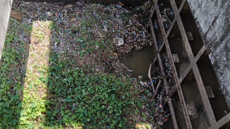 Toneladas de desechos obligan sacar de servicio acueducto Barrera de Salinidad