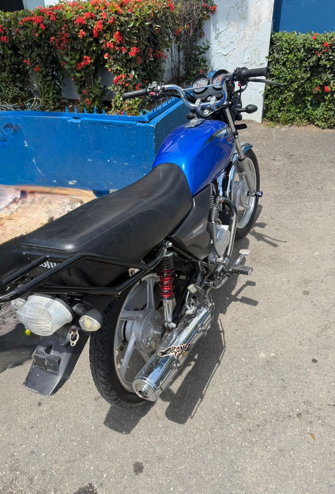 Agentes de investigación recuperan motocicletas sustraídas en Sabana Perdida, SDN