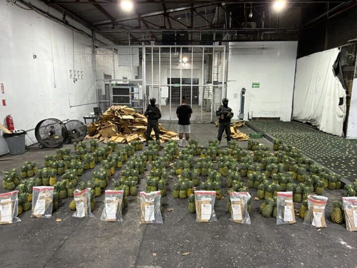 DNCD INTERVIENE CARGA DE PIÑAS CON 121 LÁMINAS DE PRESUNTA COCAÍNA; ARRESTA UN HOMBRE