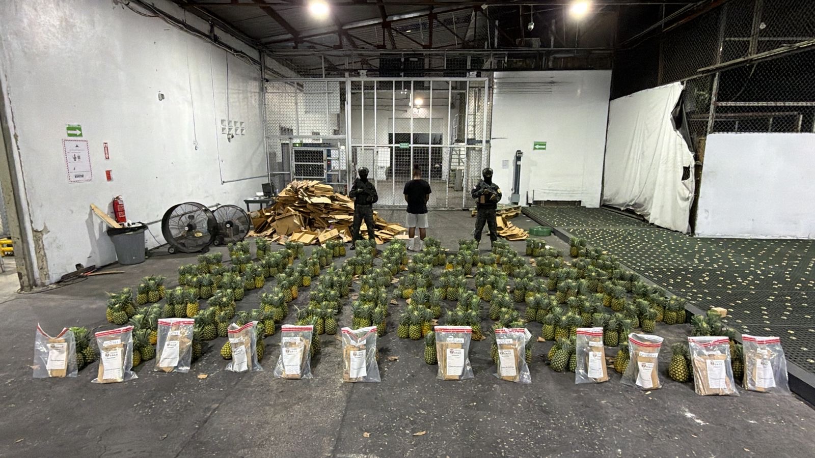 DNCD INTERVIENE CARGA DE PIÑAS CON 121 LÁMINAS DE PRESUNTA COCAÍNA; ARRESTA UN HOMBRE