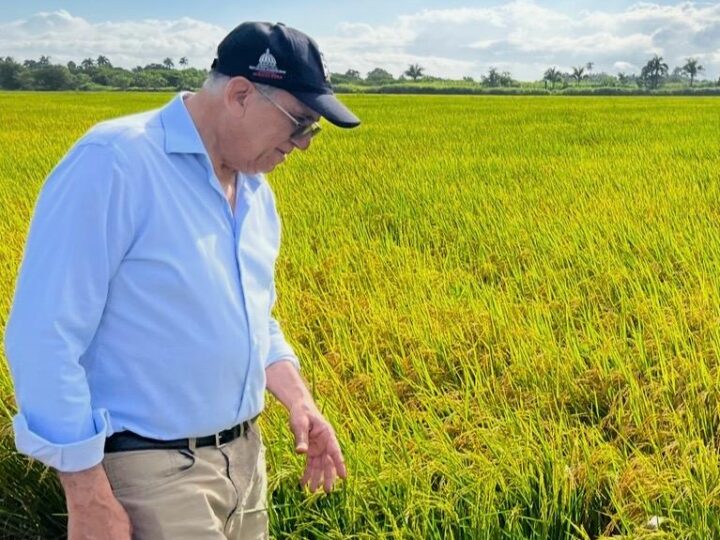 Director de Siembra RD, agrónomo Leonardo Faña, felicita al presidente Luis Abinader por los avances en la erradicación del hambre en República Dominicana