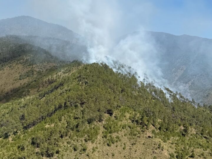 Medio Ambiente controla incendio forestal en el Valle del Tetero tras rápida intervención interinstitucional