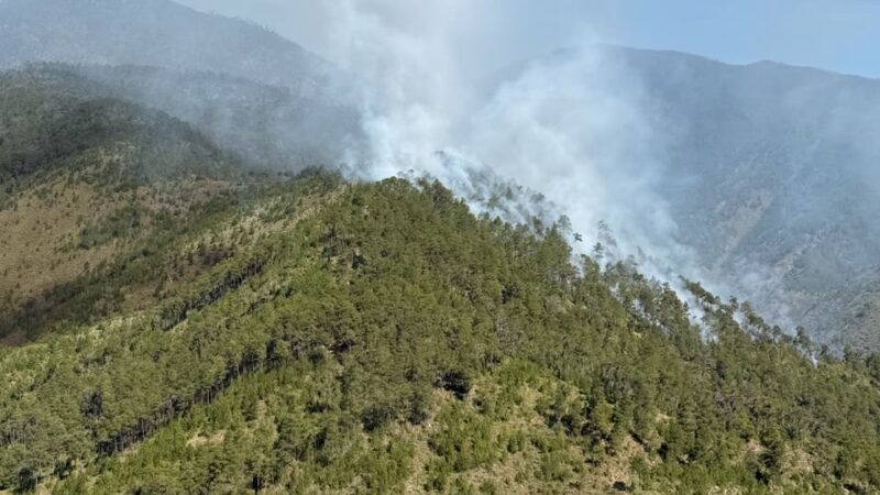 Medio Ambiente controla incendio forestal en el Valle del Tetero tras rápida intervención interinstitucional