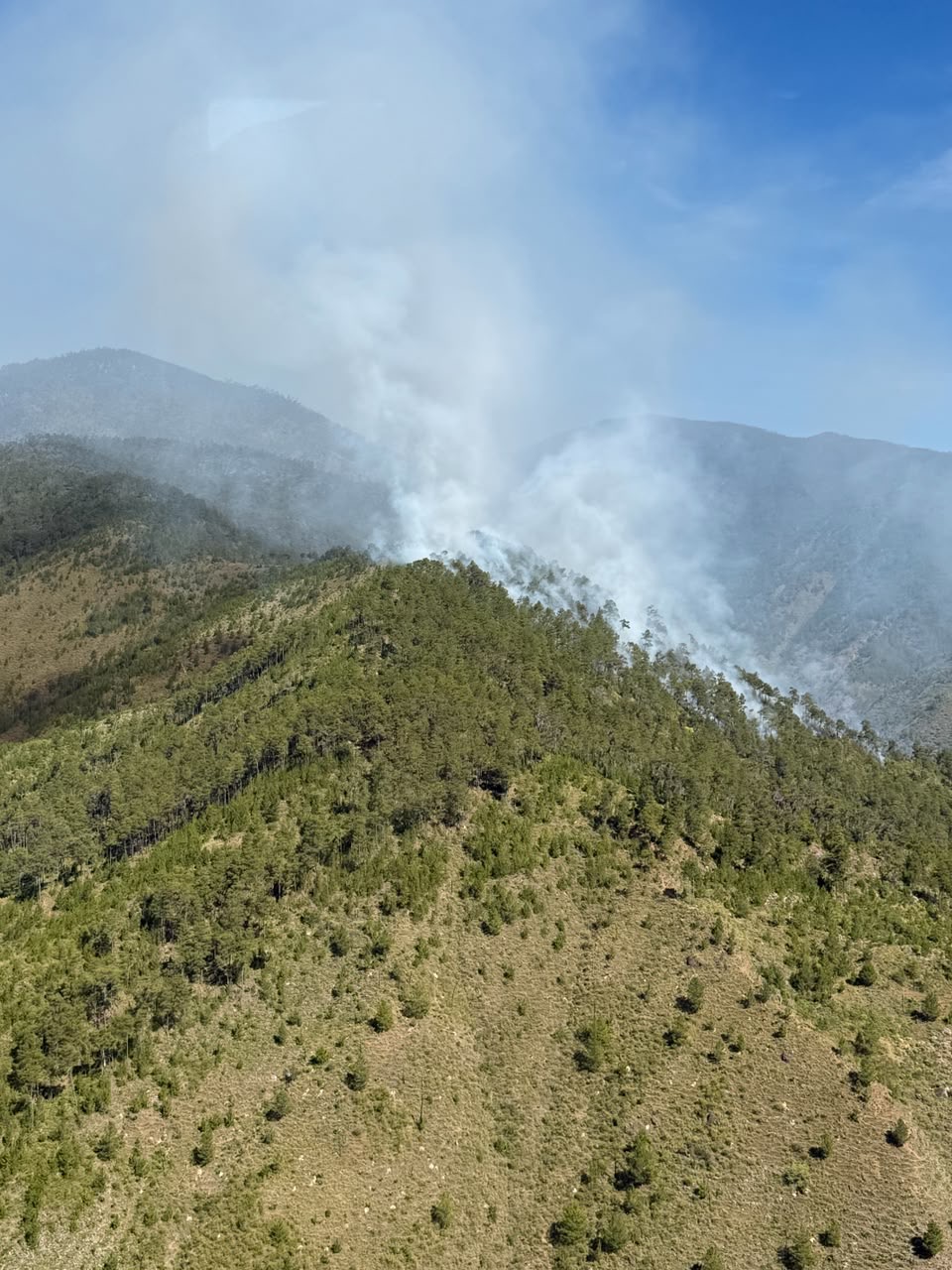 Medio Ambiente controla incendio forestal en el Valle del Tetero tras rápida intervención interinstitucional