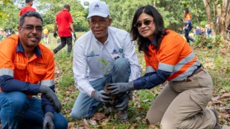 Comunidades de Hatillo y Barrick Pueblo Viejo siembran 2,000 árboles en arroyo Margajita