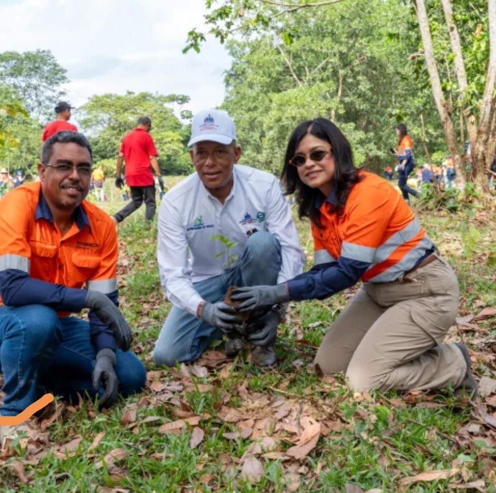 Comunidades de Hatillo y Barrick Pueblo Viejo siembran 2,000 árboles en arroyo Margajita